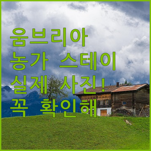 움브리아 여행 Agriturismo ..