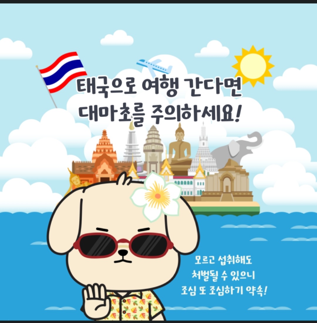 태국 대마초 주의 홍보