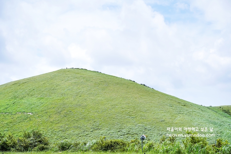 제주도 가볼만한곳 10곳