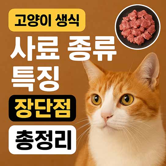 고양이 생식 사료 종류 특징 장단점 가격 총정리