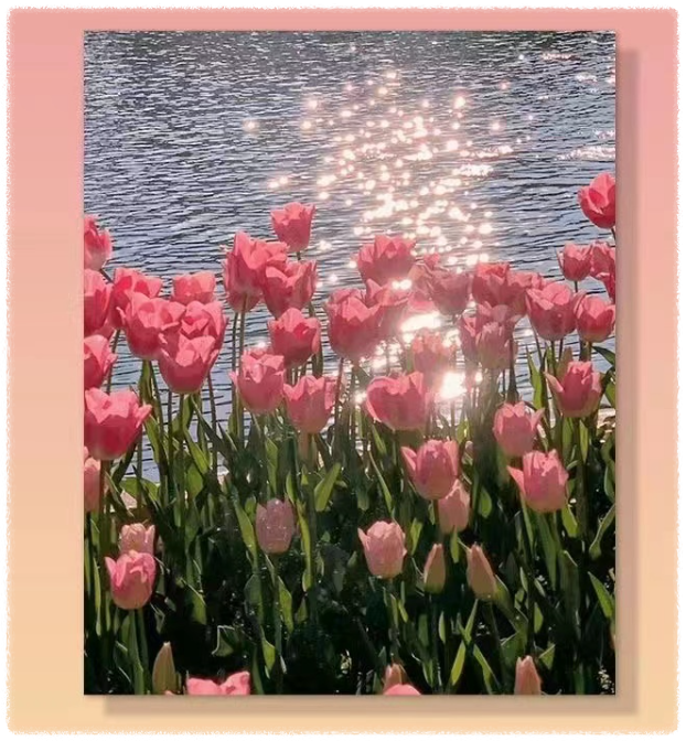 설날 선물 추천