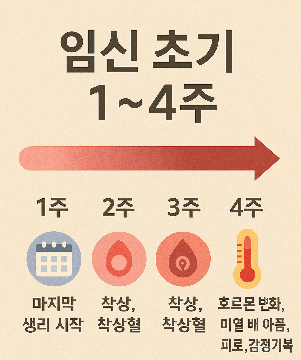pregnancy 1 to 4 weeks changes, 임신 초기 주차별 증상, 배란 착상 착상혈 미열, 임신 초기 흐름, 임신주차 요약 인포그래픽