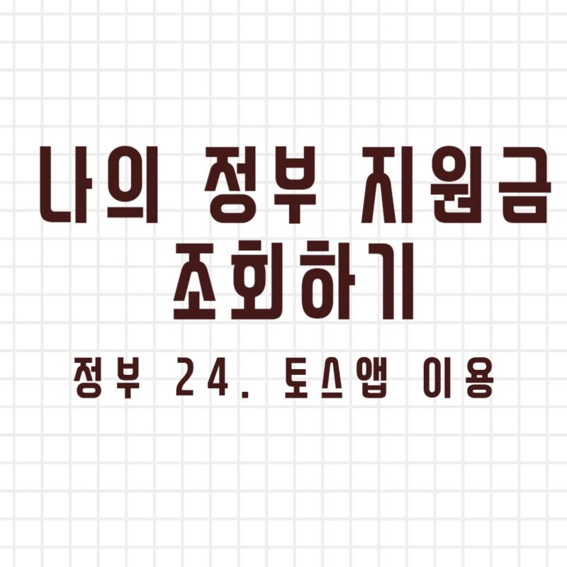 나의 정부지원금 조회