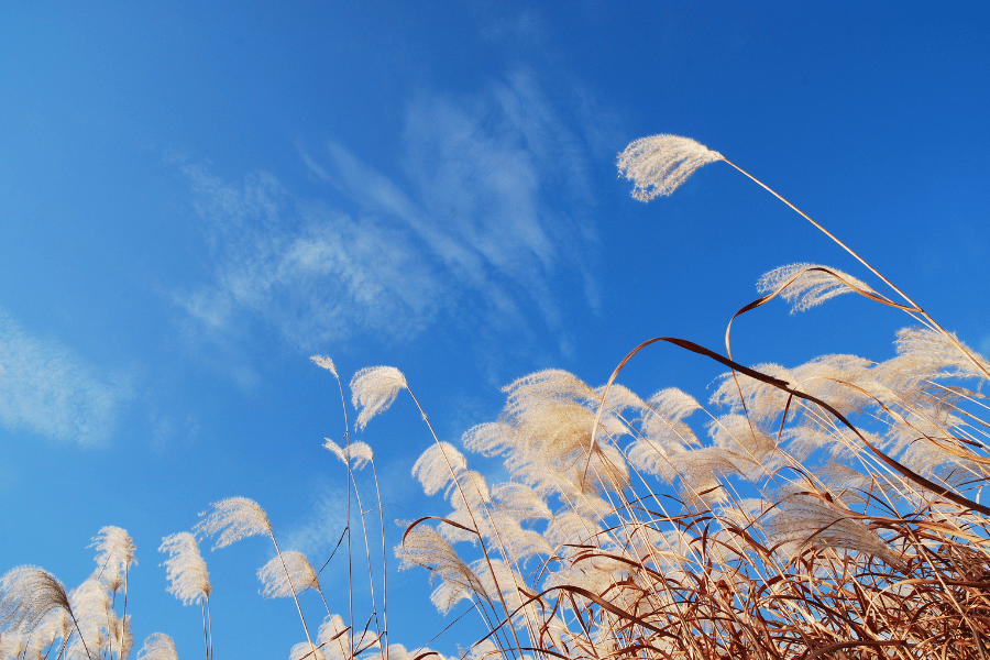 계절별 하늘 여행