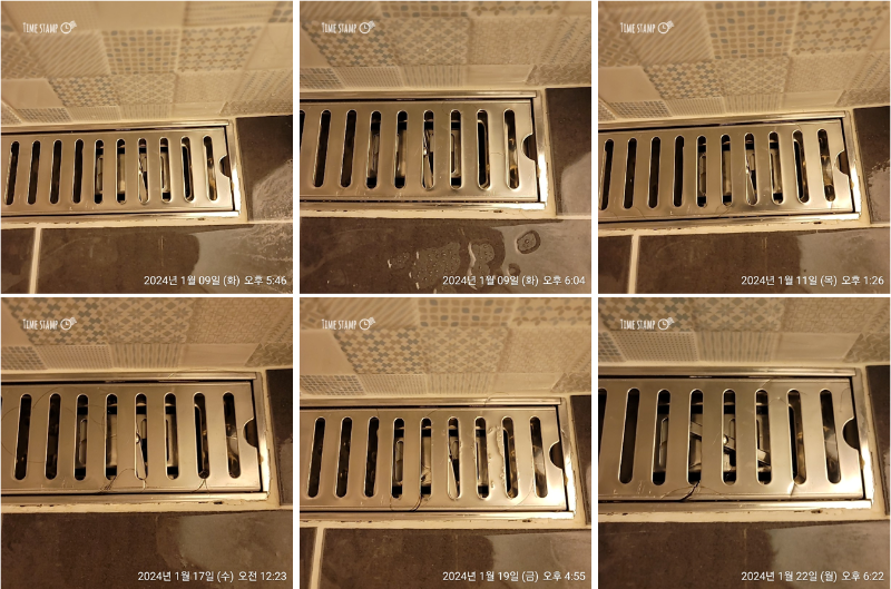 비타브리드 스칼프 샴푸 탈모 완화 효과 과정 기록