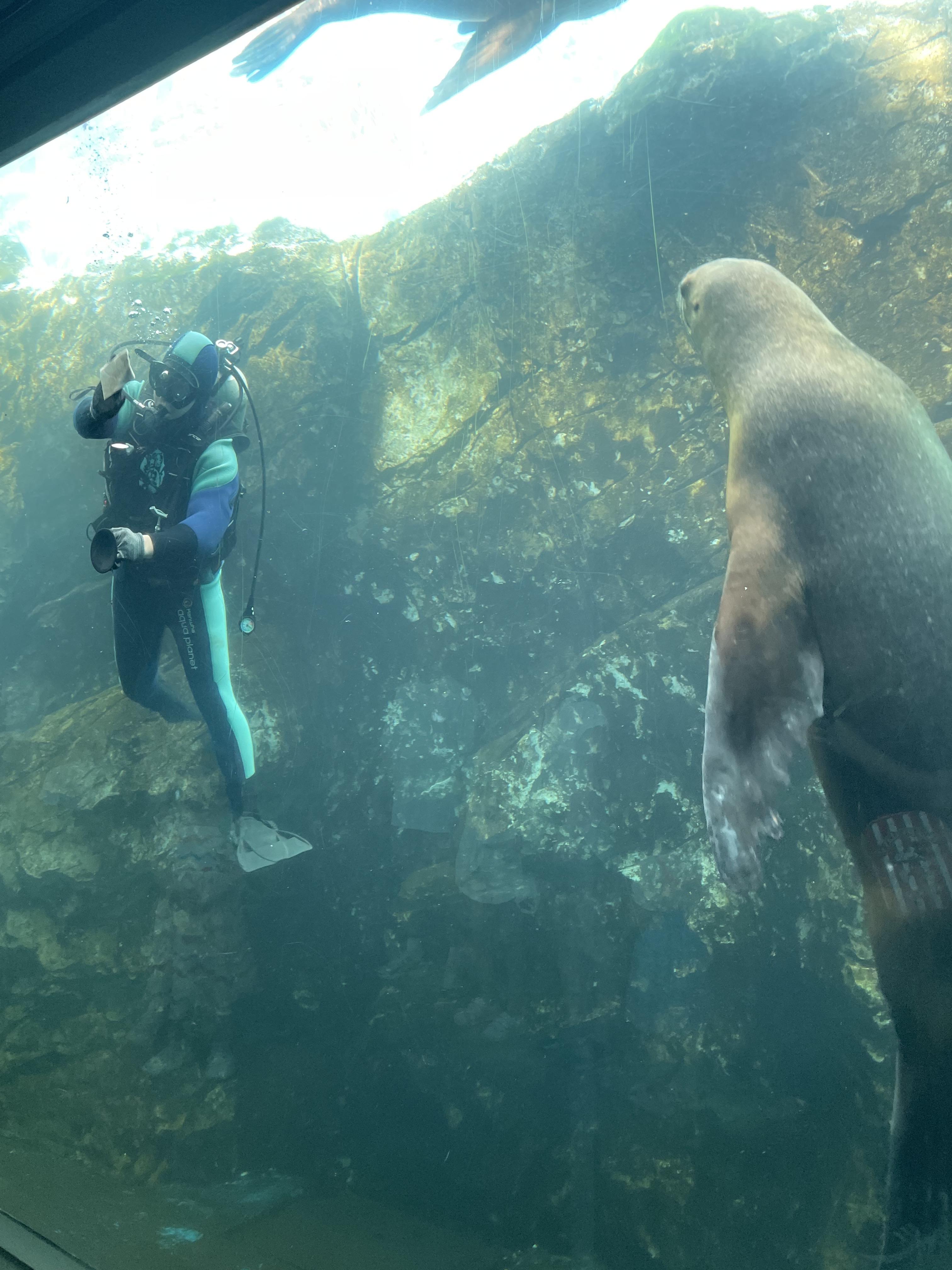 여수 아쿠아플라넷