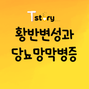 황반변성-당뇨망막병증-주요실명원인