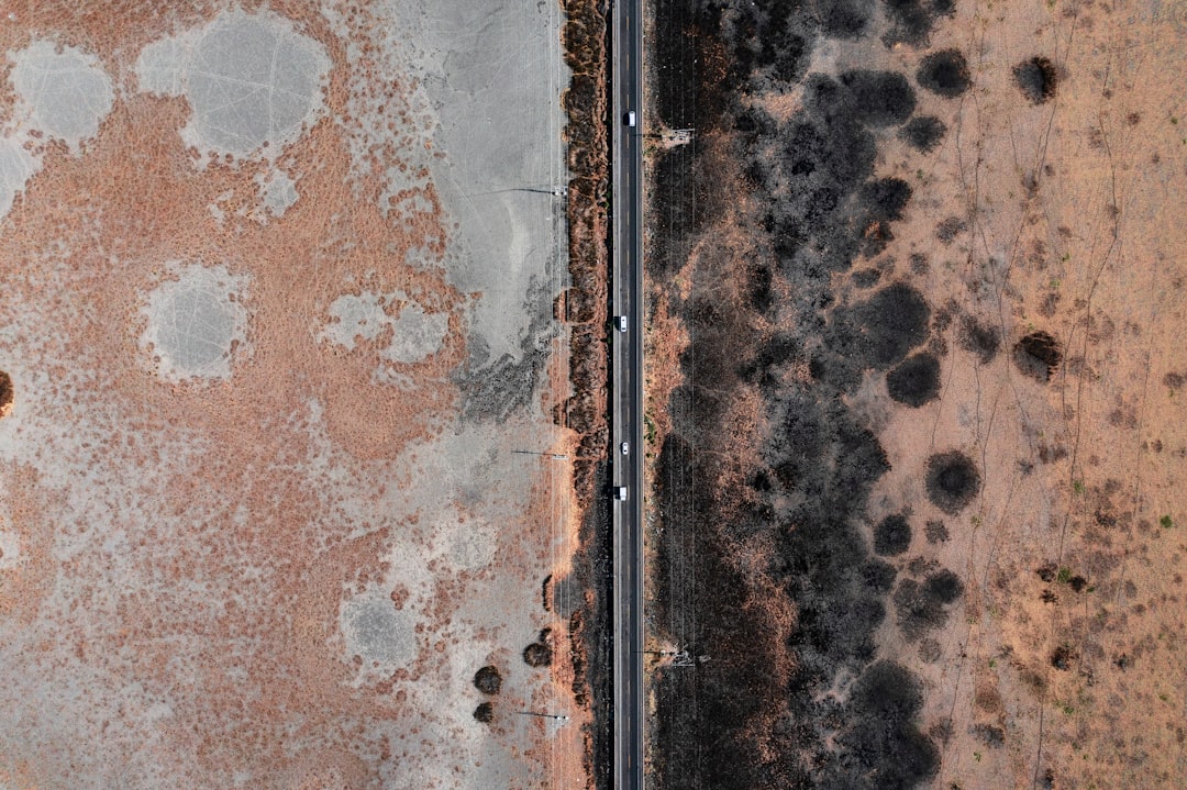 Mold