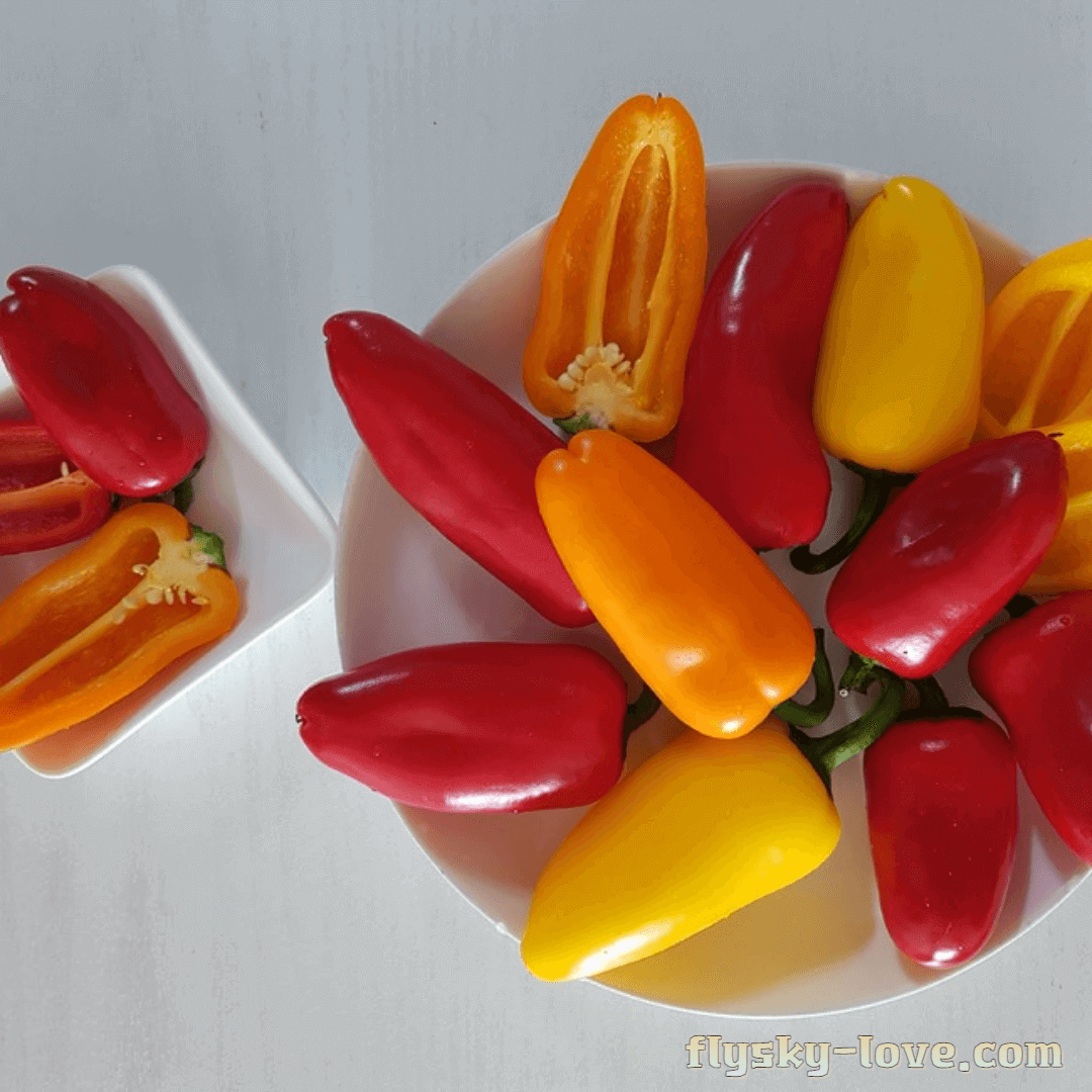 미니파프리카 효능