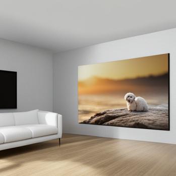 말티푸 이거 꼭 봐봐