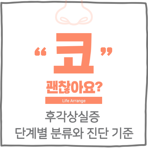 후각상실증 단계별 분류와 진단 기준