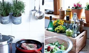 주방 허브 키우기 물주기 수확관리 세척보관 어르신도 간단 실천_8