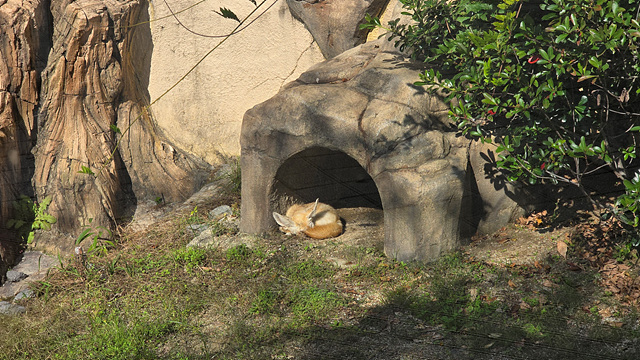 순천만국가정원 어린이 동물원 서문 순천여행 24년 11월 사진
