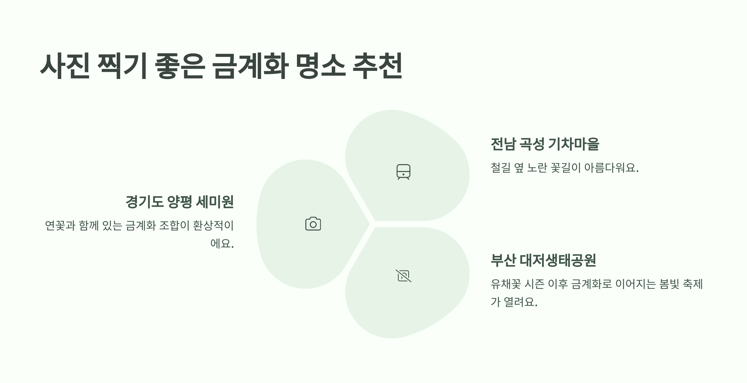 금계화