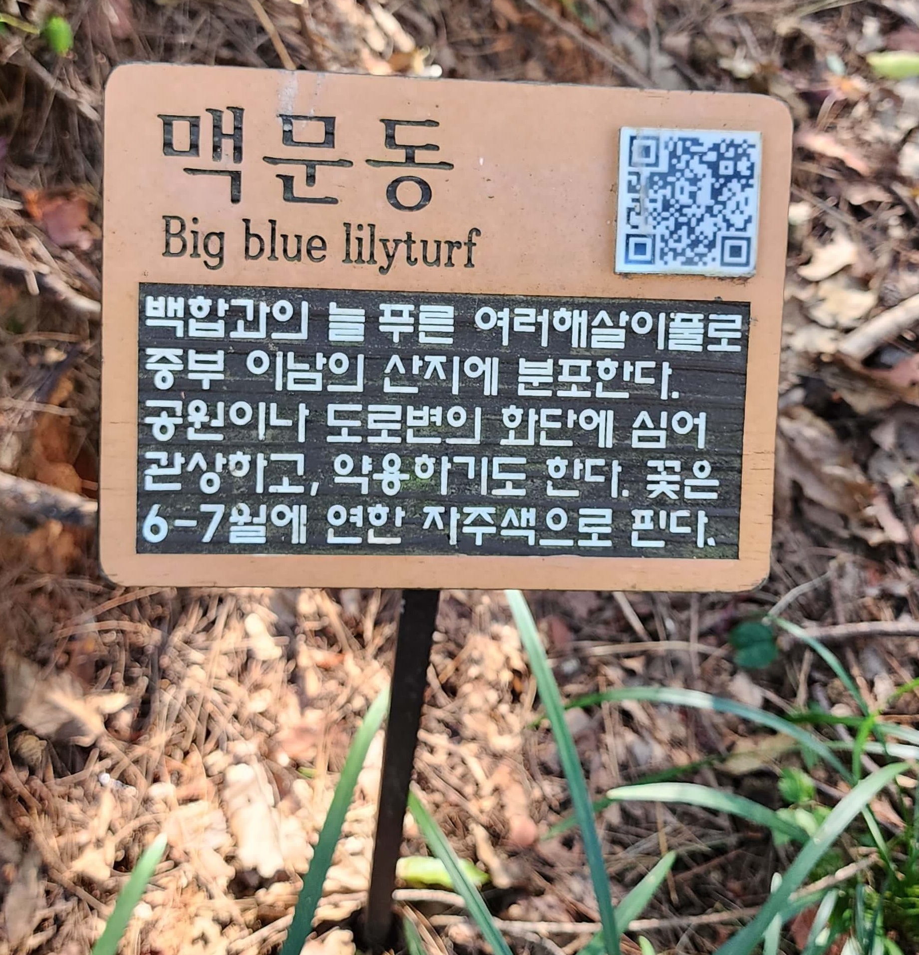 오륜대 땅뫼산 황토숲길 맨발걷기11