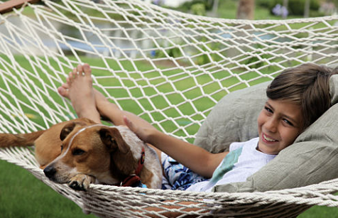 초복 인사 문자 알아보기, 무료 다운로드, 초복 의미와 유래