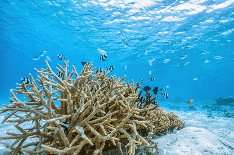 국내 여행객에게 인기 좋은 일본 여행지