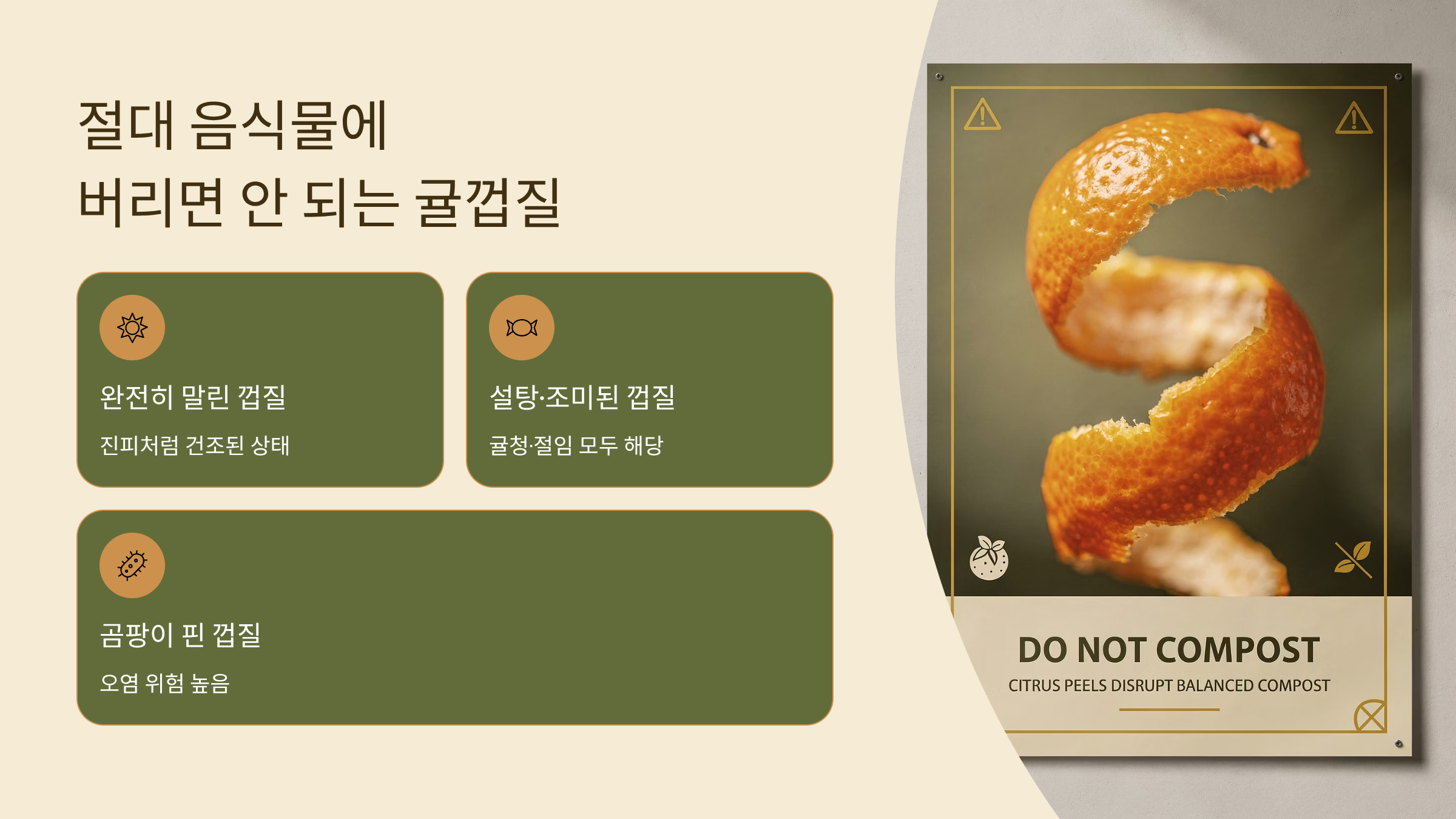 절대 음식물에 버리면 안되는 귤껍질 종류