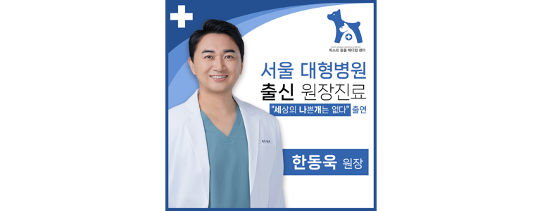 평택시 동물병원