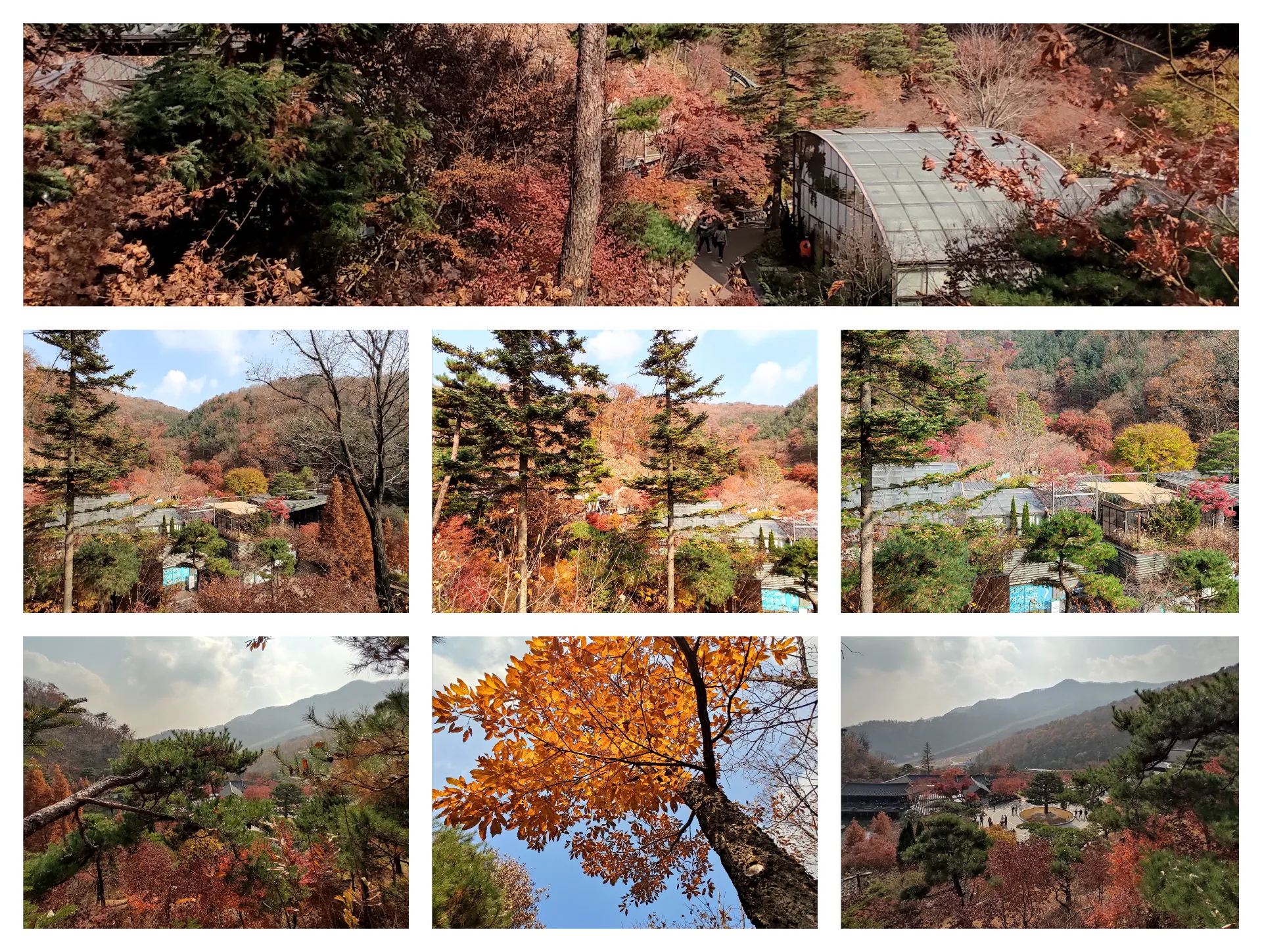 가을 화담숲