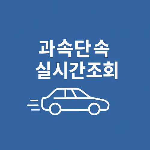 과속 단속 실시간 조회