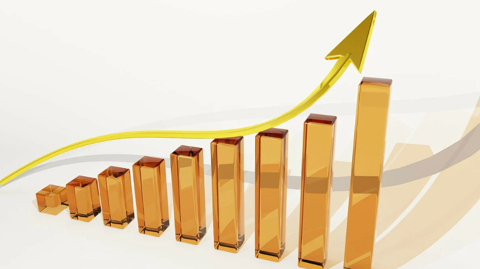 금양주식 사진 1