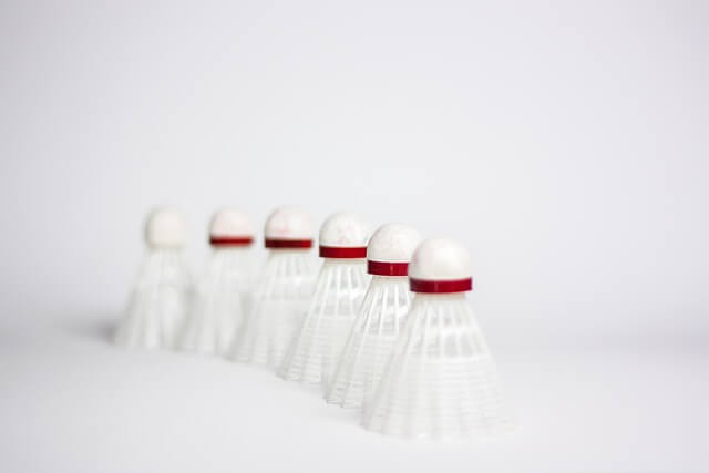 2025 아시아 배드민턴 선수권대회 선수 중계보기 우승 상금