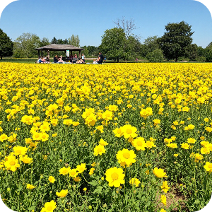 삼락생태공원 이미지