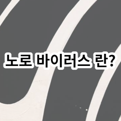 노로 바이러스 란?