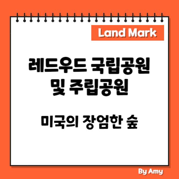 레드우드 국립공원 및 주립공원: 미국의 장엄한 숲