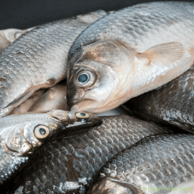 보양식으로 효과적인 붕어