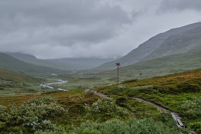 화면 대신 풍경을 — 스마트폰 없이 떠나는 힐링 여행