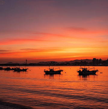 2025자갈치축제 일정 총정리 (22)