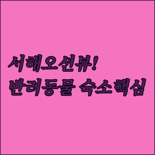 서해 오션뷰 반려동물 동반 가능 강화..