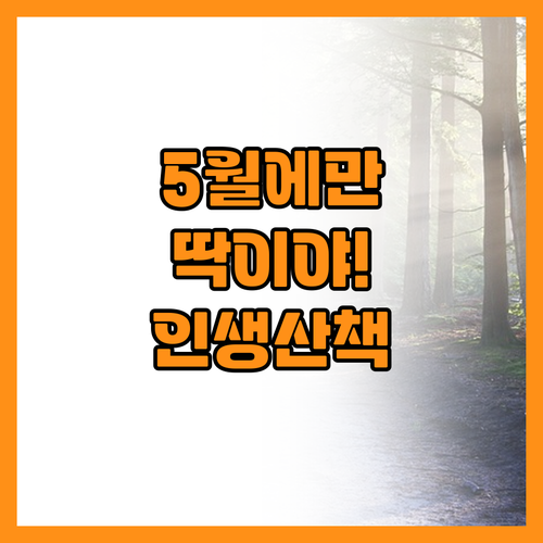5월 국내 여행지 추천 덥지 않고 산..