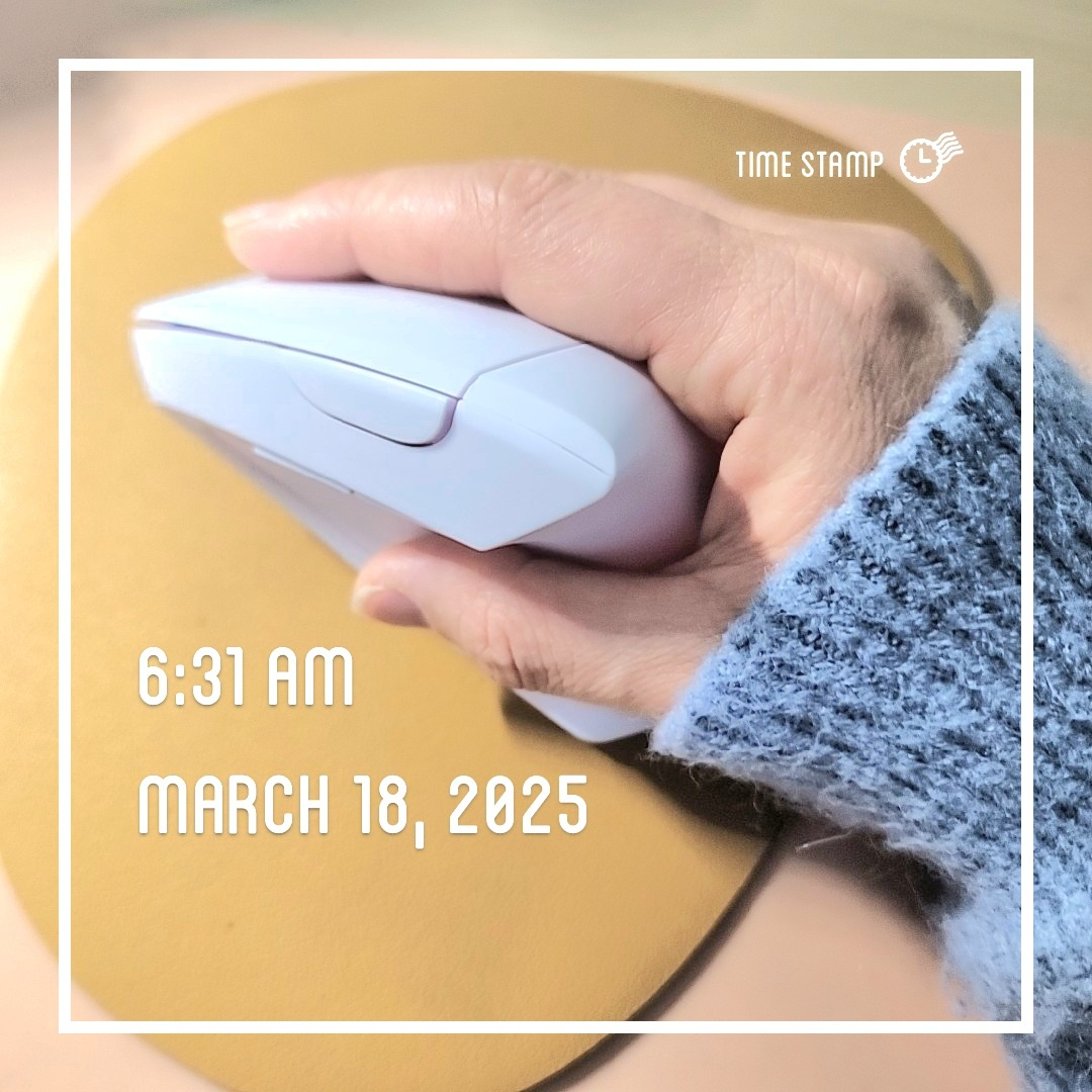 인체공학 마우스 사용중