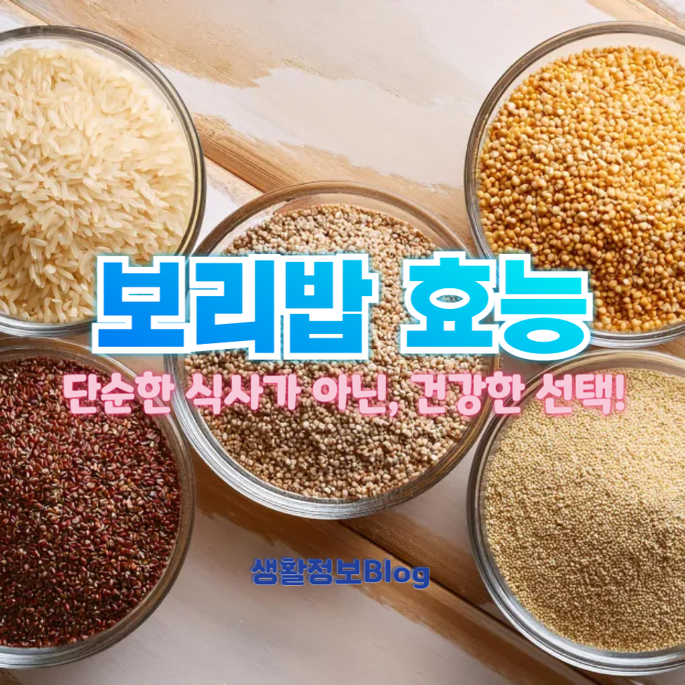 보리밥 효능