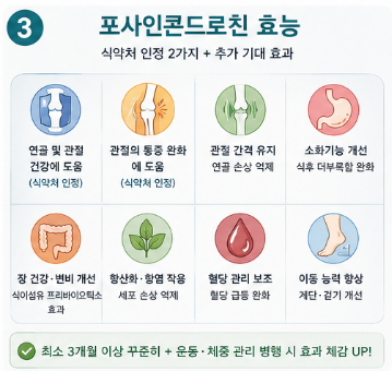 포사인콘드로친-뜻-효능-가격-추천-내돈내산-후기