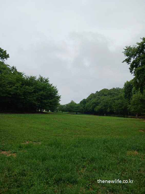 A vast green lawn under a cloudy sky at Children’s Grand Park, bordered by dense summer foliage./ 여름 나무로 둘러싸인 흐린 날씨의 서울 어린이대공원 광장 잔디밭
