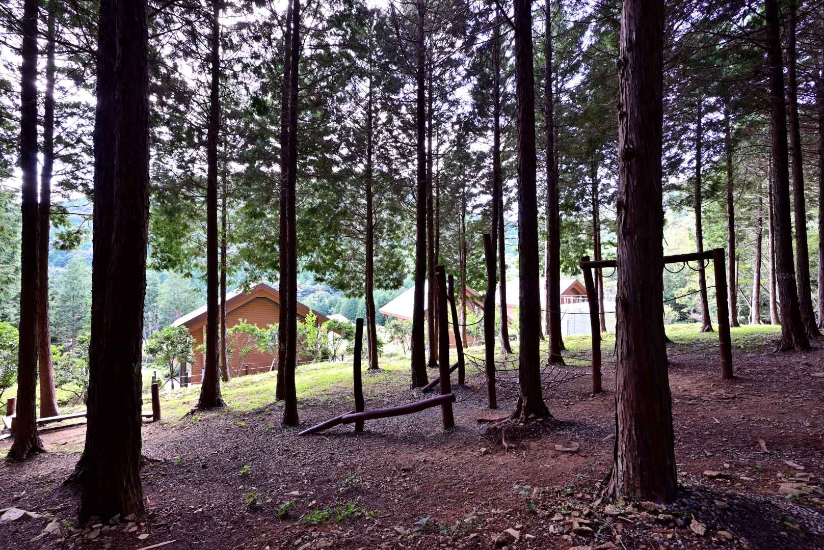 팔영산 편백치유의숲