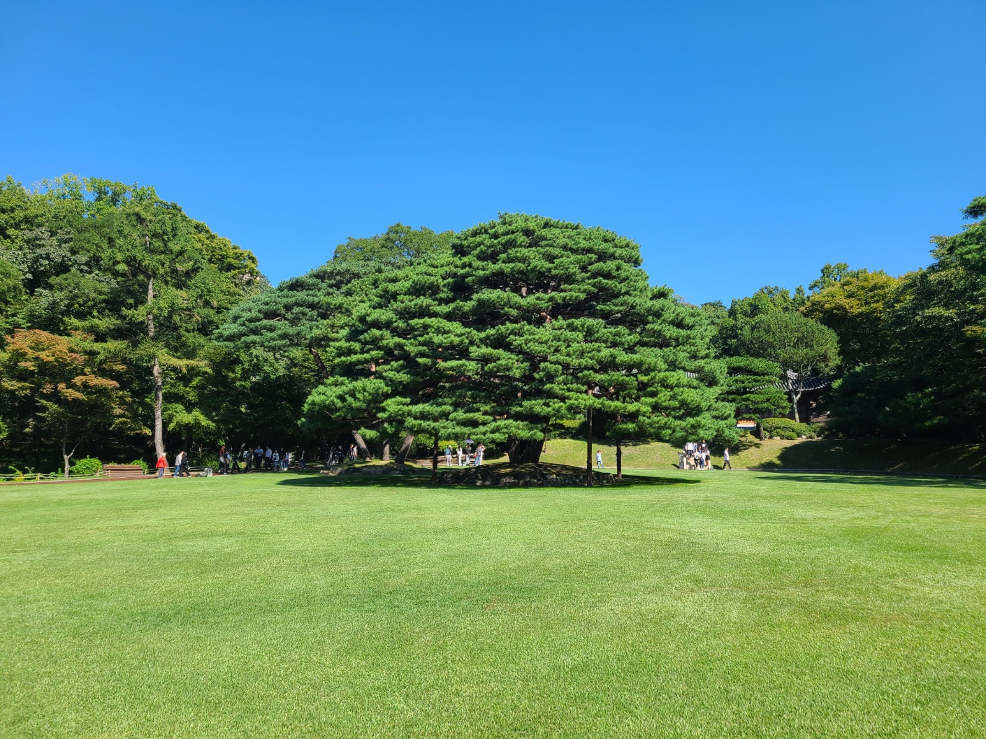 청와대 관람 하기