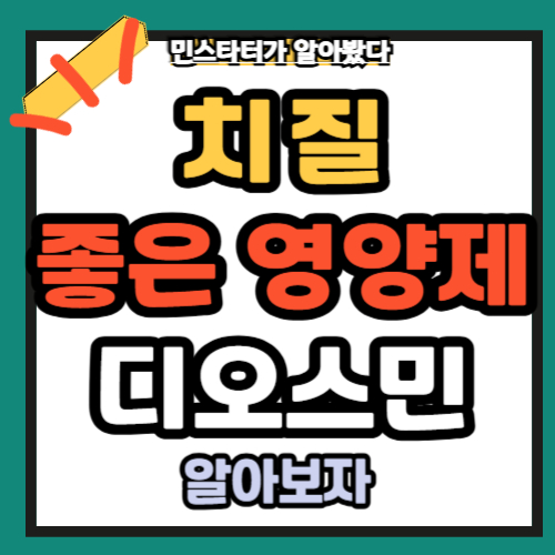 치질 디오스미 효능 600 성분 부작용