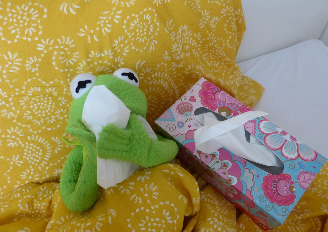 냉한 체질 증상