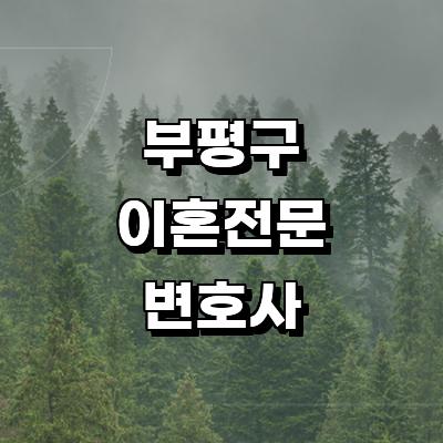 인천 부평구 이혼 변호사