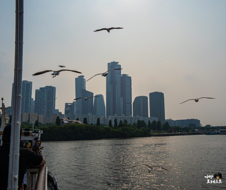 한강 유람선 이크루즈