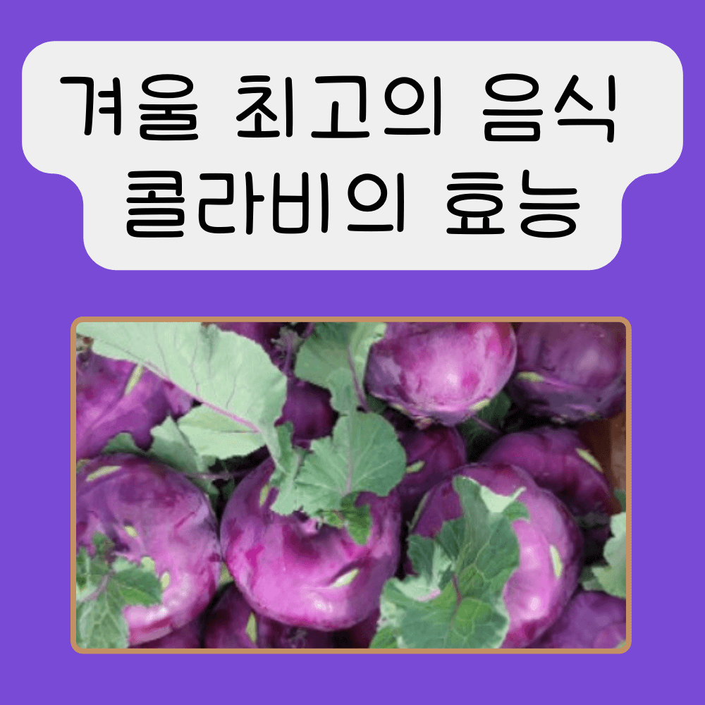 겨울 최고의 음식 콜라비의 효능-콜라비 무생채&#44; 스무디 레시피