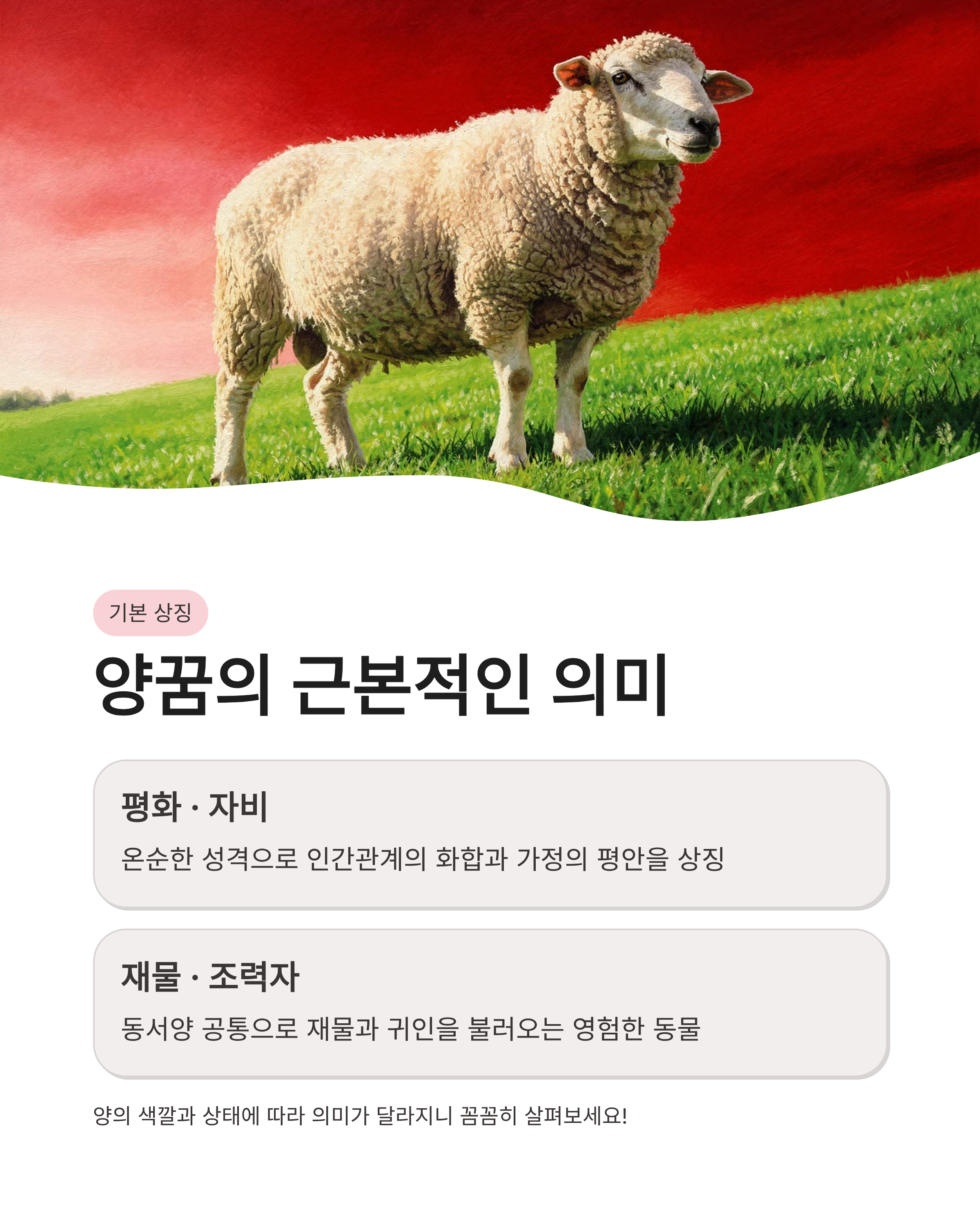 양꿈 해몽 흰 양 태몽부터 새끼 양떼까지 상황별 완벽 풀이! 재물운이 넝쿨째 굴러온다고?