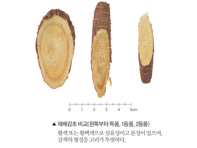 재배감초 등급별 비교