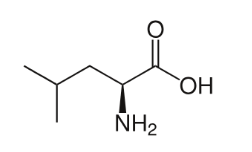류신 화학 구조
