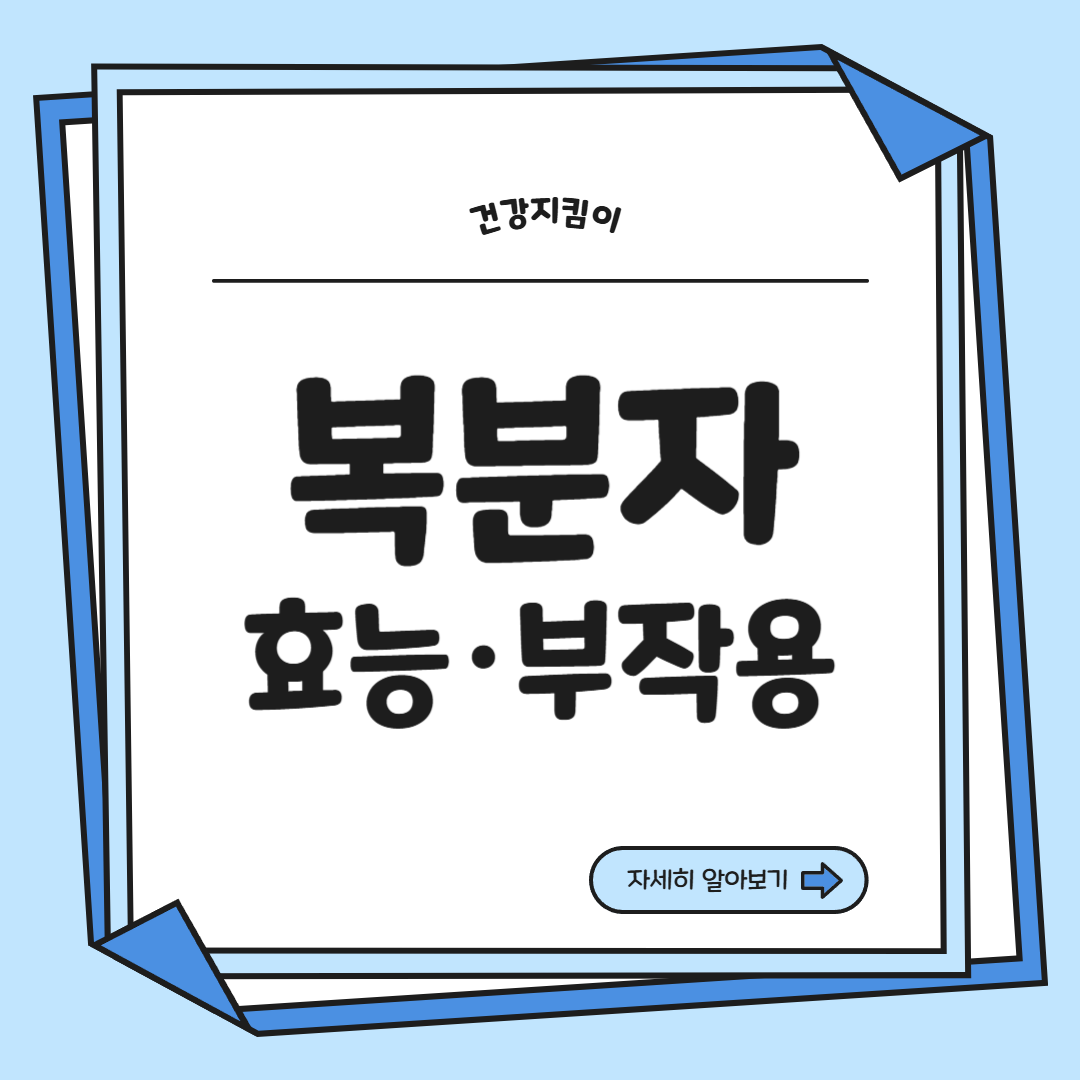 복분자 효능 부작용 고르는법 먹는법